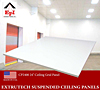 Suspended Ceiling Panels